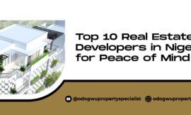  Top 10 Real Estate Developers in Nigeria for Peace of Mind