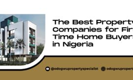 The Best Property Companies for First-Time Home Buyers in Nigeria