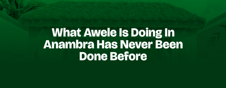 Read more about the article WHAT AWELE IS DOING IN ANAMBRA HAS NEVER BEEN DONE BEFORE