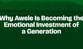 Why Awele Is Becoming the Emotional Investment of a Generation